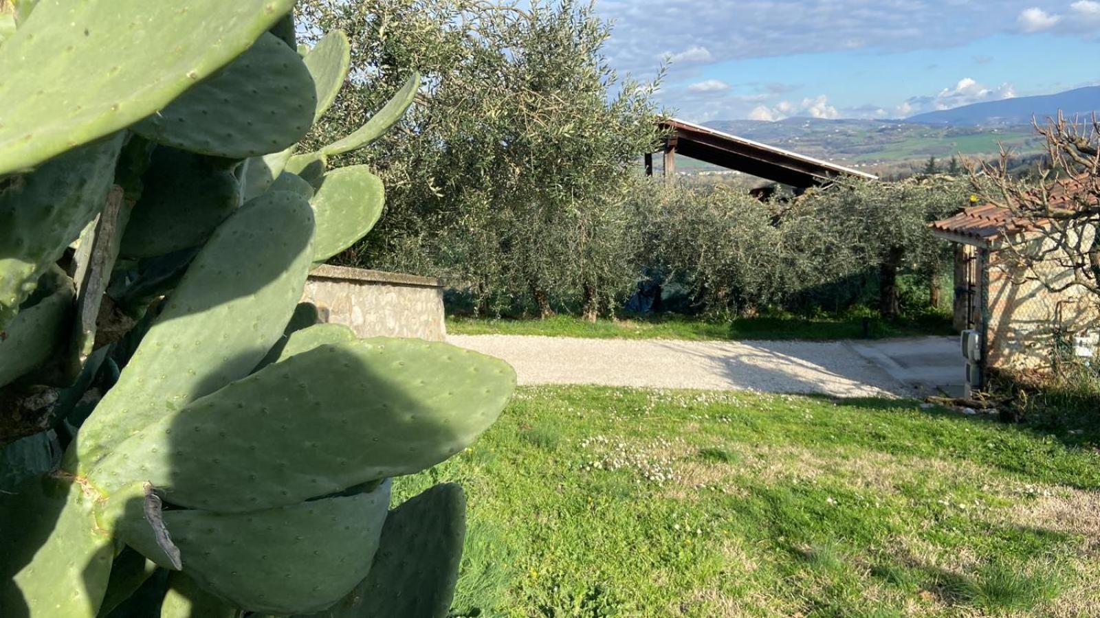فيلا Casa Civico22 Fratta Todina المظهر الخارجي الصورة